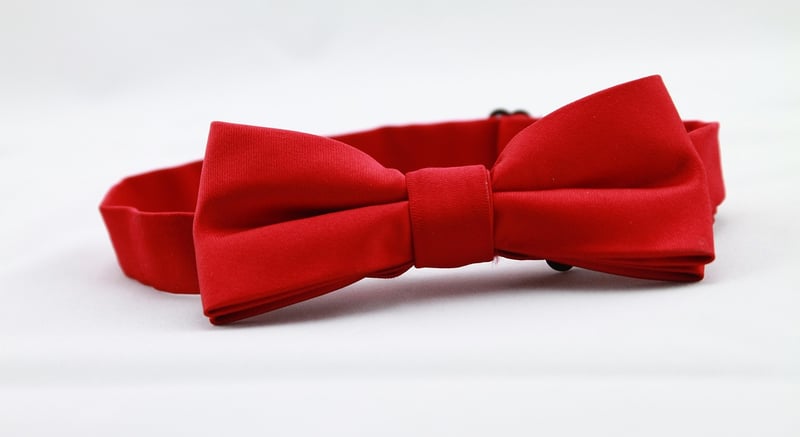 Forest-Inspired Bow Tie